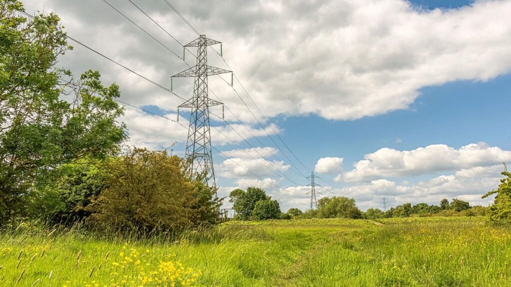 pylons