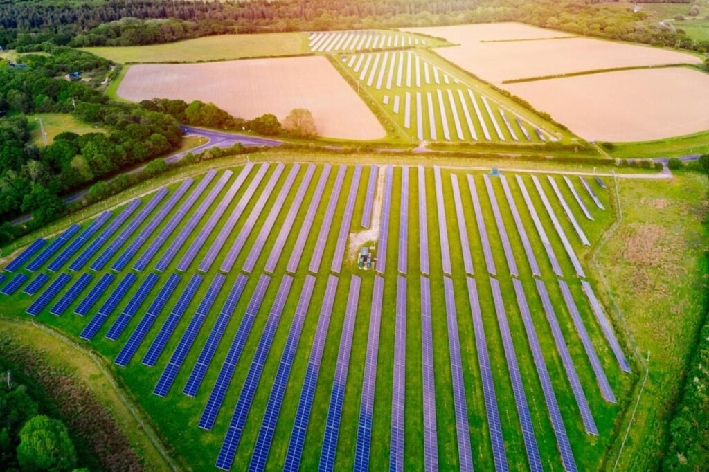 solar panels in field
